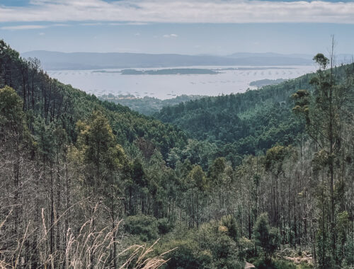 "Sailing around Galician: A Peculiar Odyssey Around Caramiñal, Spain