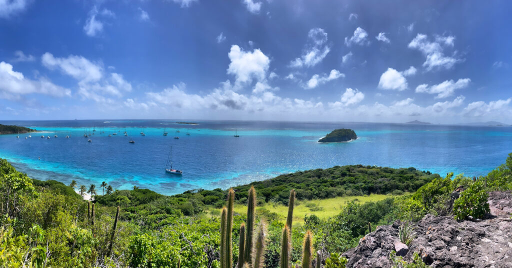 Tobago Cays Snorkelling With Turtles