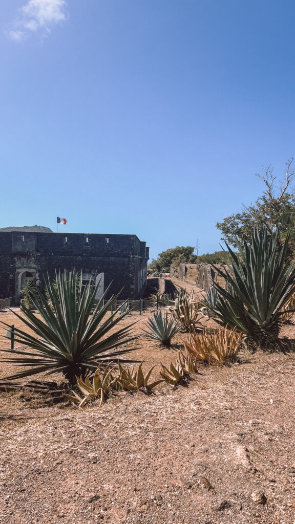 Sailing to Terre-de-Haut: A French Caribbean Gem, Golf Carts & Glorious Cheese