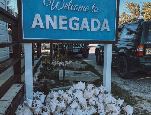 Savannah Bay BVI turquoise water