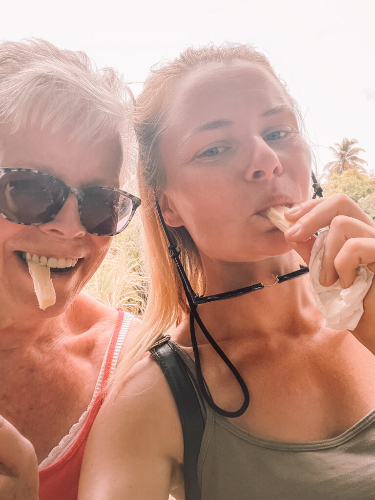Caribbean Sailing Adventure with Family